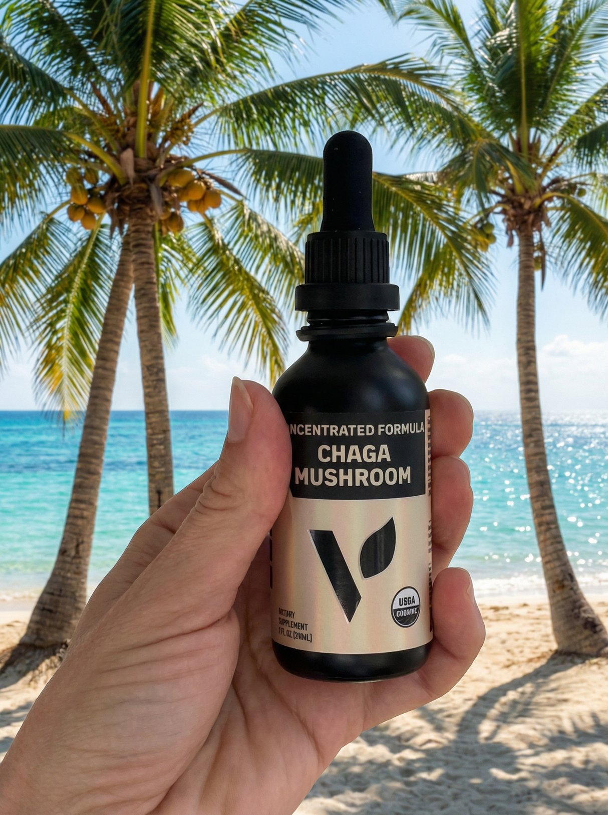 Organic Chaga Mushroom