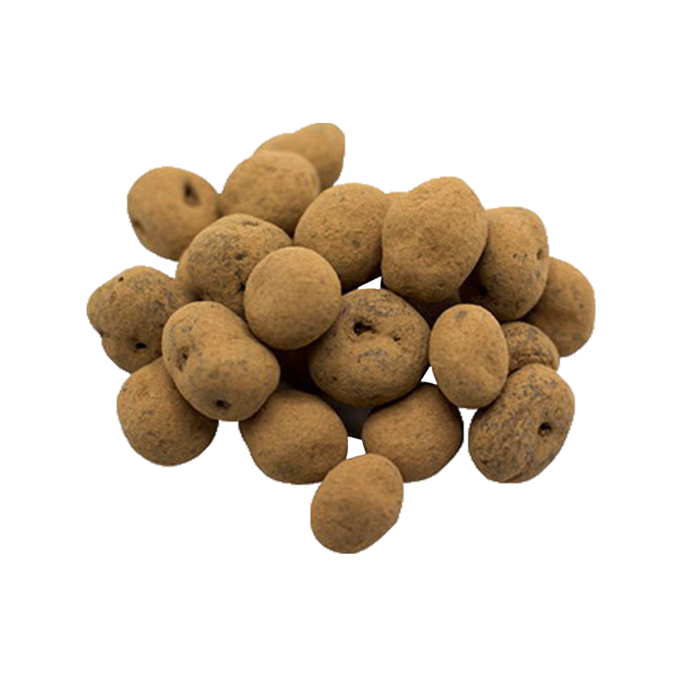 Chocolate Covered Golden Berries