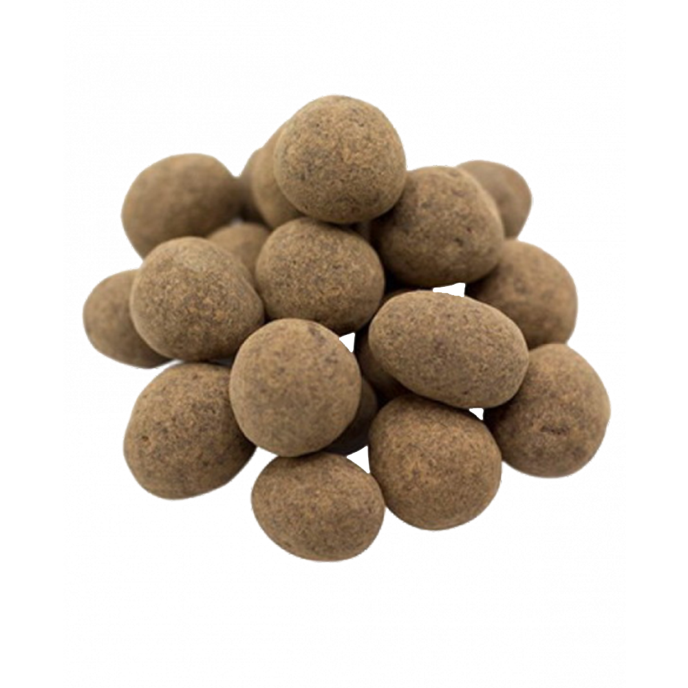 Delicious chocolate covered sprouted hazelnuts