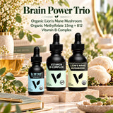 Brain Power Trio