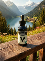 Organic Reishi Mushroom