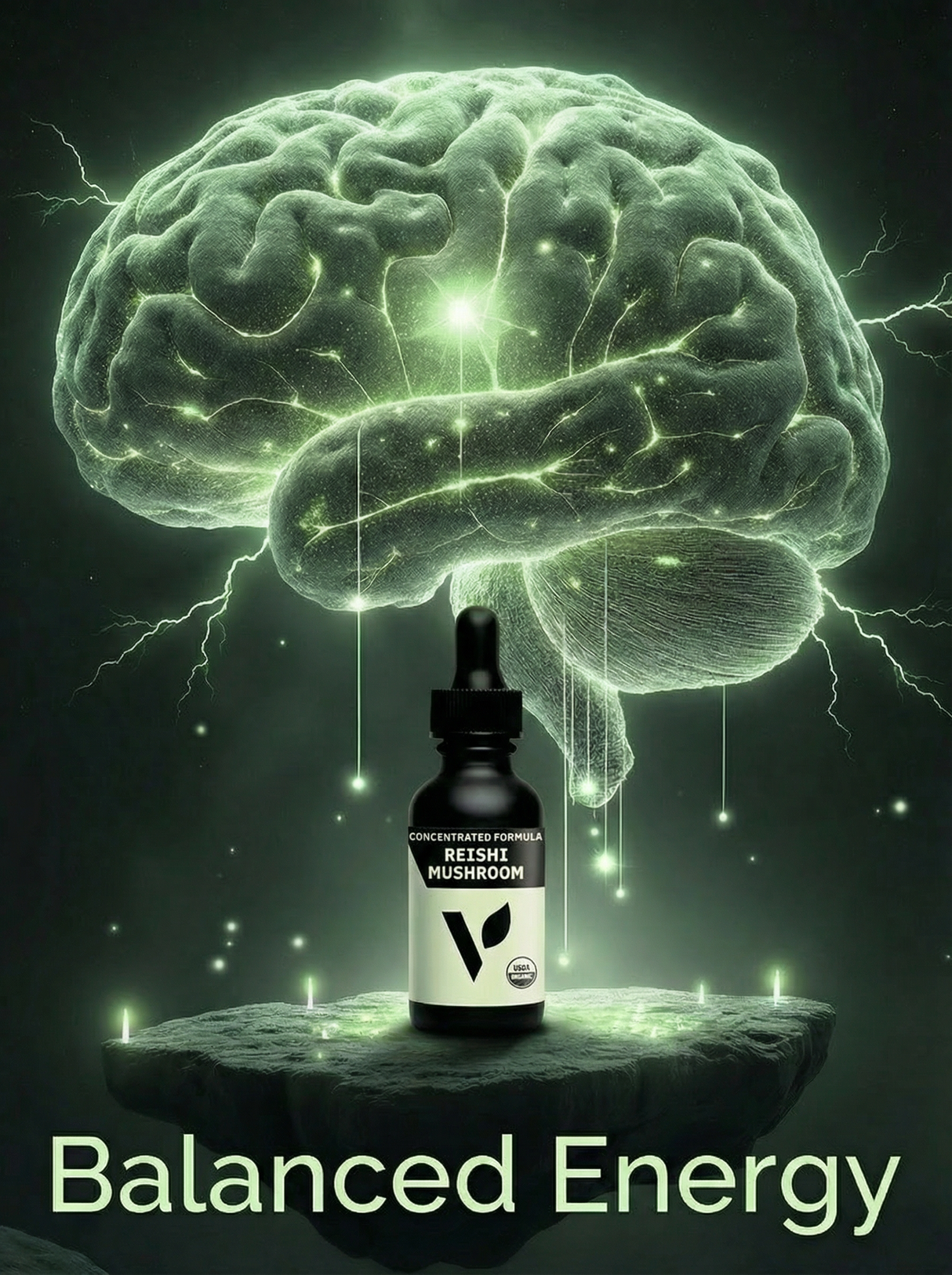 Organic Reishi Mushroom